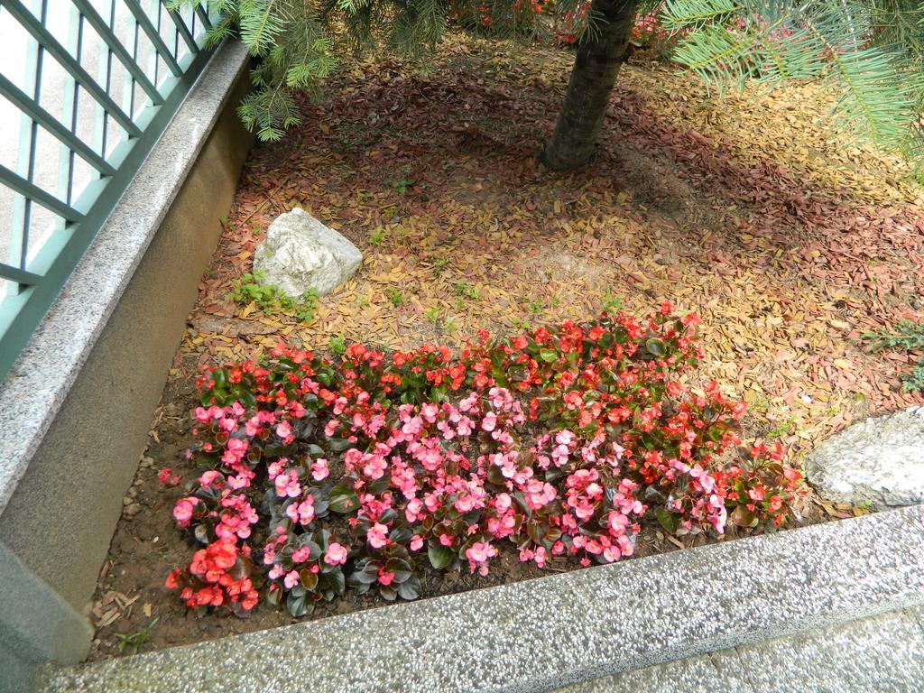 Sara Apartment *